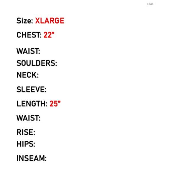 GENERATION LOVE TOP WOMENS XLARGE MINA SHEER LACE BLOUSE BALLET SLIPPER PINK NEW - Picture 14 of 14